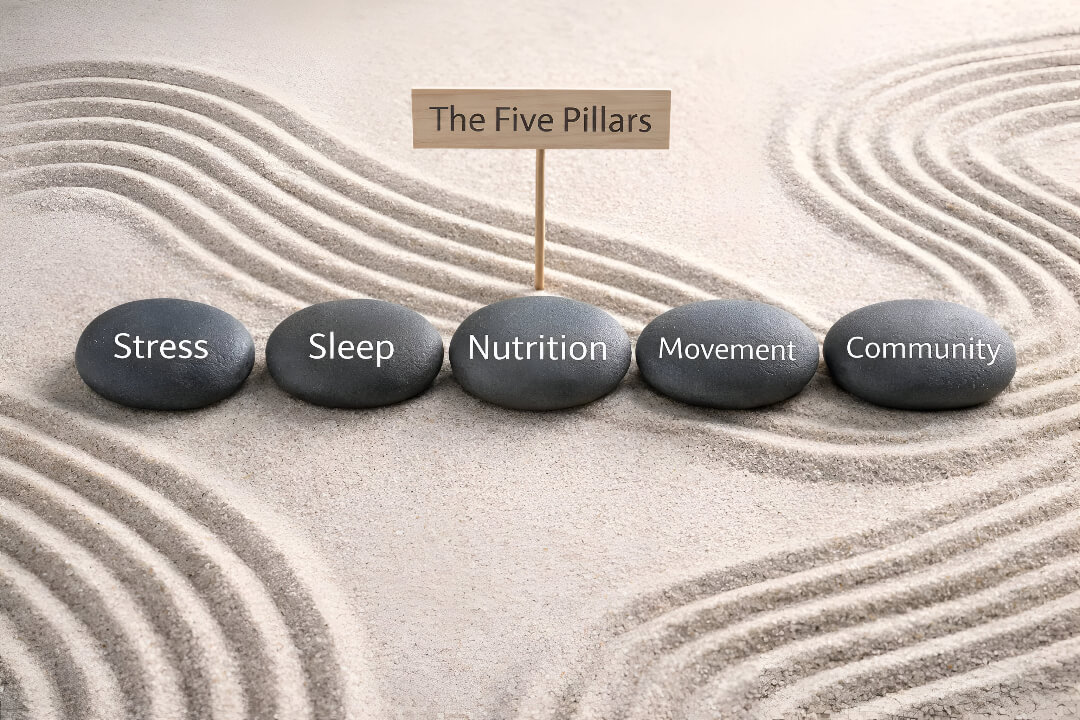 The 5 Pillars of Health